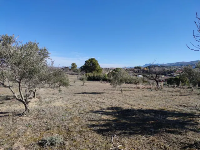 PARCELA RÚSTICA EN VENTA - ONTINYENT