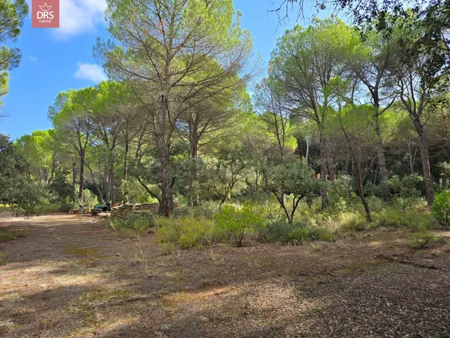 Terreno en urb pinares del jucar — 3