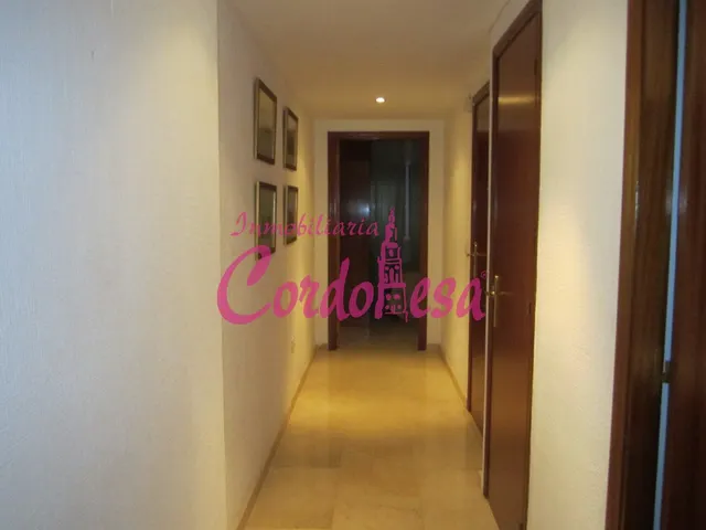 MAGNÍFICO APARTAMENTO JUNTO AL CORTE INGLÉS — 7