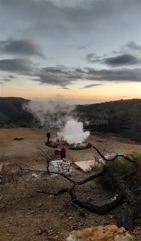 Terreno rústico de 11835 m² en Marbella para cultivo o inversión — 2