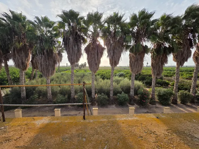 Espectacular finca rústica con proyecto de construcción y licencia en Los Montesinos — 9