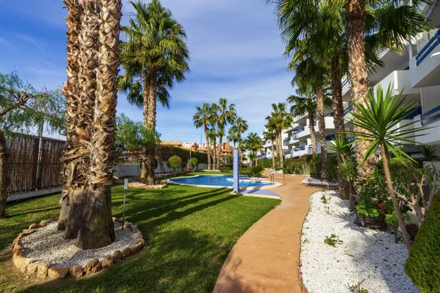 Ático 2 habitaciones 95m² en venta - Punta Prima — 29