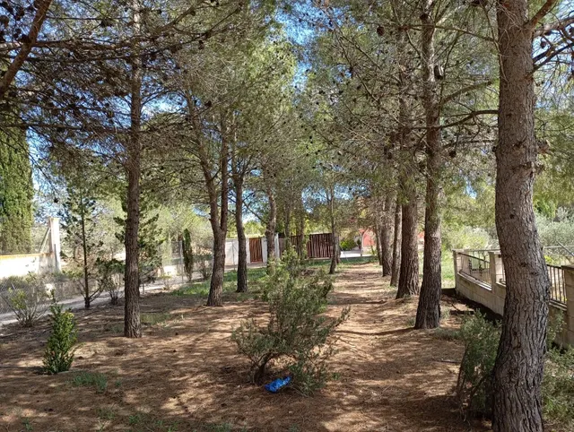 Villa 5 habitaciones 360m² en venta - Ayuntamiento — 18