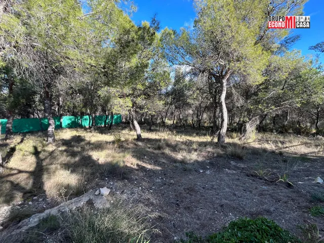 CASA DE CAMPO EN CASTALLA, ALICANTE — 28