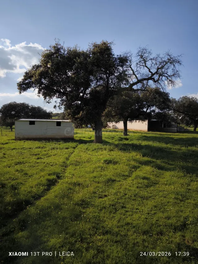 A. Terreno Rural en Fuente Obejuna