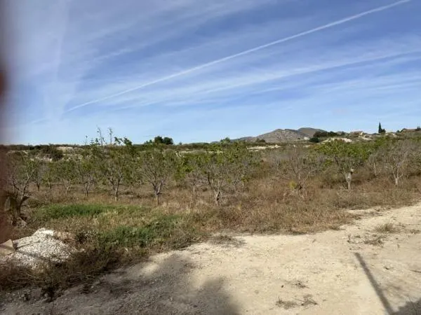 Parcela de terreno cercano al casco urbano — 3
