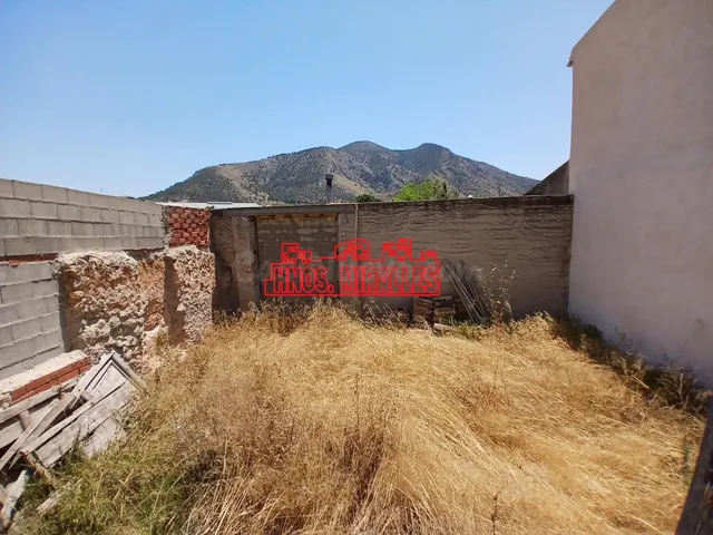 ¡¡ OCASIÓN, VENTA EN EXCLUSIVA, PARCELA URBANA EN ALGUEÑA 1. - foto 3