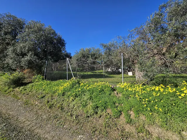 Finca rústica con olivos y cuadra en Casarabonela (Málaga) — 13