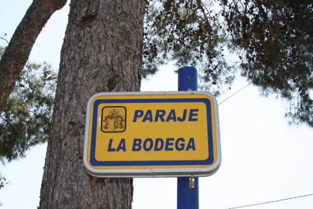 Parcela a las afueras de Orihuela — 14