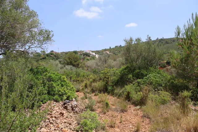 MASIA RUSTICA EN DOS HECTAREAS DE TERRENO ZONA POU DE BECA — 27