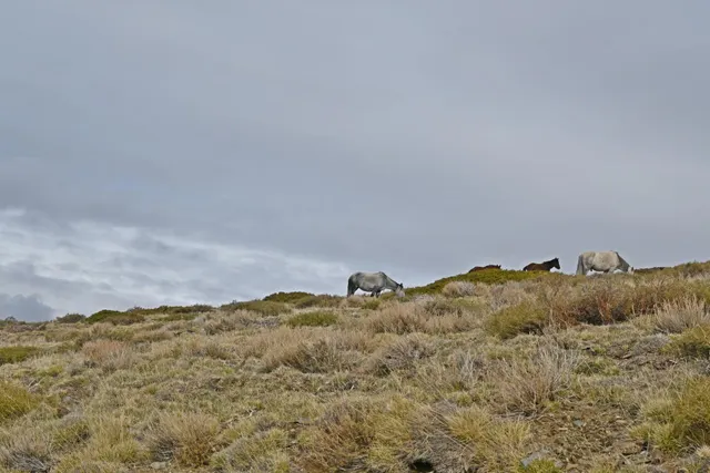 Casa en venta en Sierra Nevada — 37
