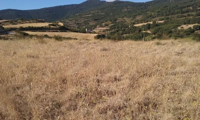 Parcelas urbanizadas en Arellano — 3