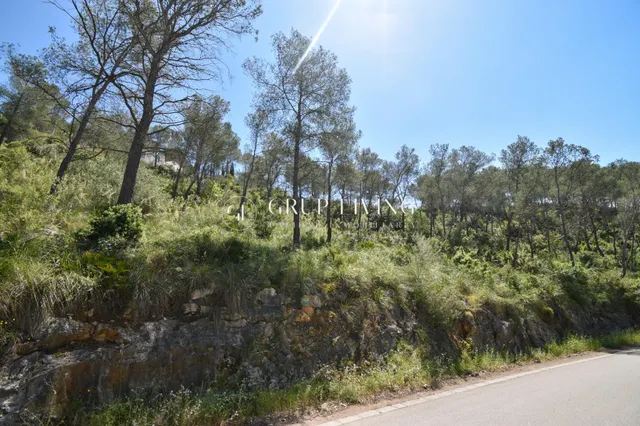 TERRENO EN MAS MESTRE, OLIVELLA — 2