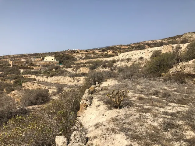 Finca en Guimar - foto 4