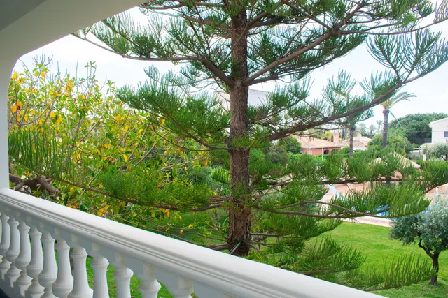 Villa 7 habitaciones 545m² en venta - Costa blanca — 47