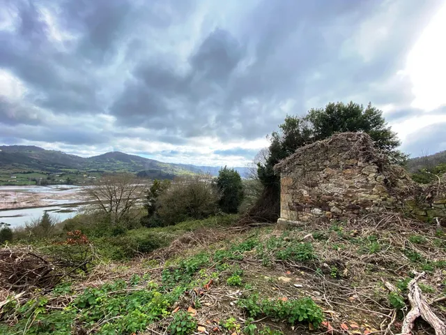EXCLUSIVA PROPIEDAD CON VISTAS A LA RIA Y 70 HECTAREAS DE TE - foto 2