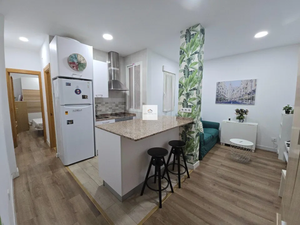 Piso 1 habitación 39m² en alquiler - Fuente del Berro