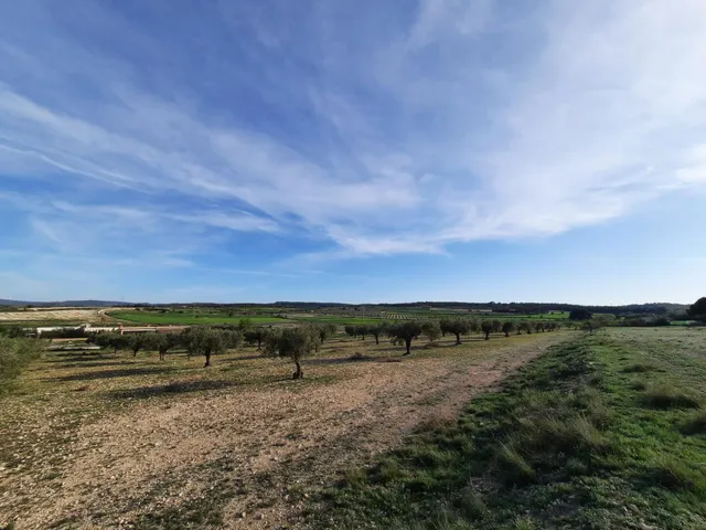 TERRENO PARA SU CASA DE CAMPO EN CANTO BLANCO — 7