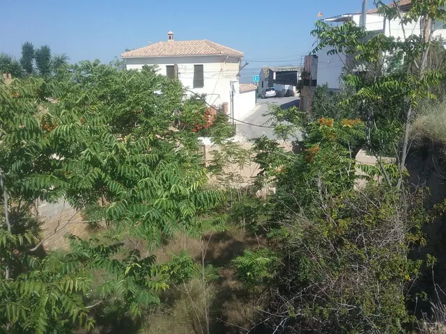 SOLAR EN EL FARGUE — 5