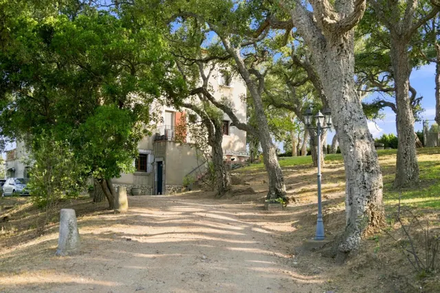 Finca Rustica en venta — 26