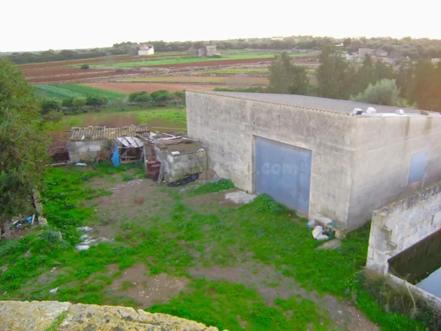 Finca rústica con muchas posibilidades en Muro - foto 4