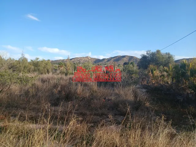 ¡¡ OCASIÓN INVERNADERO EN ASPE !! — 19