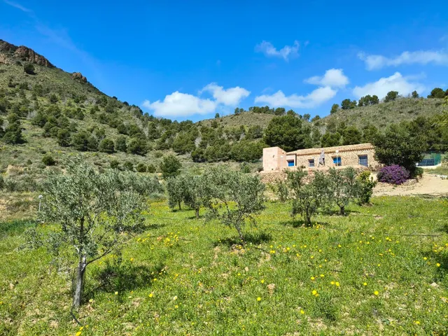 Refugio único con 3 viviendas, olivar y energía solar – Costa Cálida, Murcia — 7