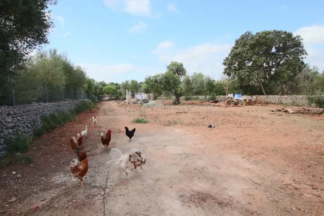 Finca rústica con pequeña caseta - foto 4