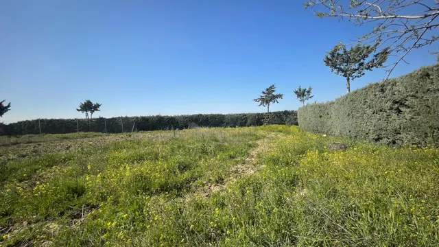 Terreno rural 10m² en alquiler - San Nicasio — 16