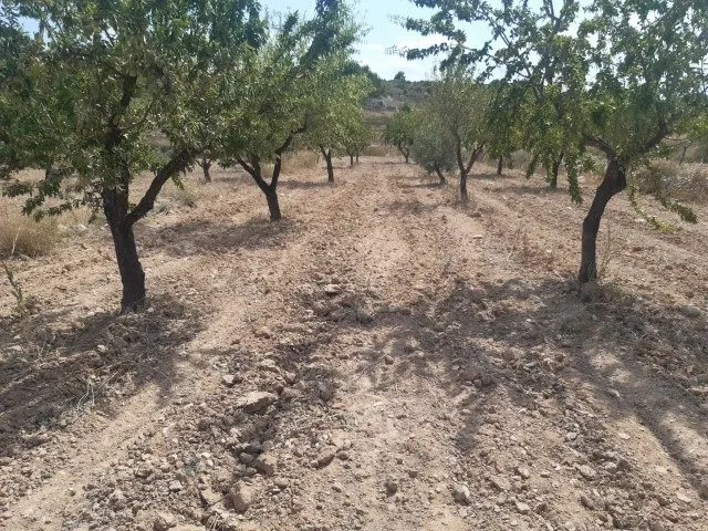 Se vende terreno de 16000 metros — 13