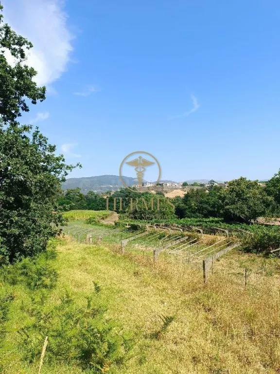 Se vende finca rustica a 1 km de Tui - foto 5