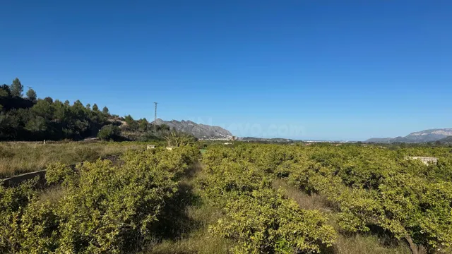 PARCELA RÚSTICA CON VISTAS AL MAR – GRAN OPORTUNIDAD DE INVE - foto 5
