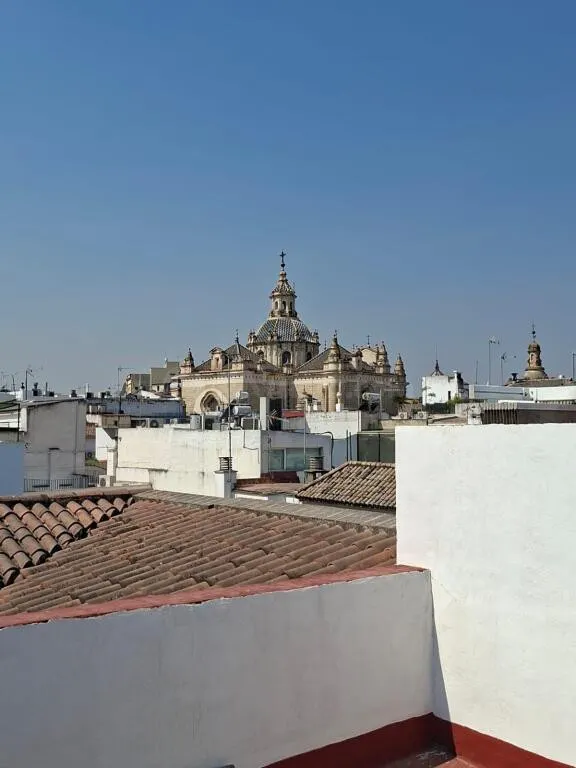 Estudio completamente reformado en el corazón de Sevilla!!! — 16