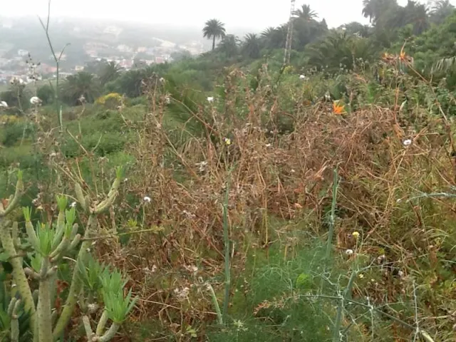 Terreno Puntillo Sol — 3