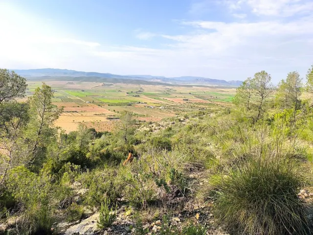 Parcela 999m² en venta - Ayuntamiento