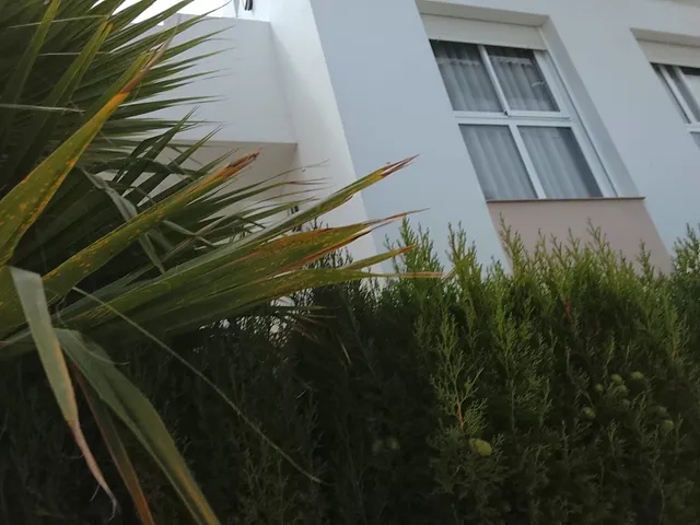 ÁTICO DUPLEX DE LUX EN CIUDAD QUESADA LAGUNA CONSUM — 41