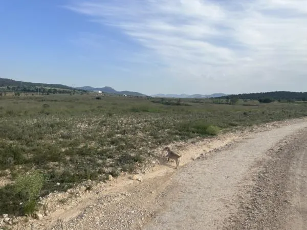 Parcela de terreno de 69000 metros — 5