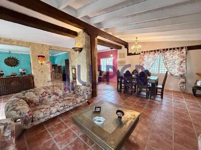 ✨ Una finca única para quienes buscan mucho más que una vivienda, en Alicante Tangel. — 7