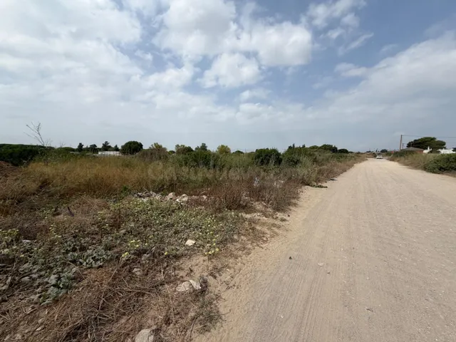 Parcela segregada de 4.227 metros en el pago del humo — 3