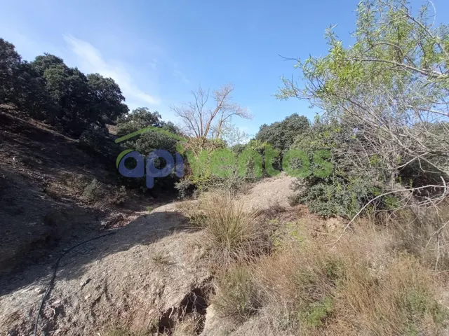 11Hectareas de terreno , vivienda y agua - foto 4