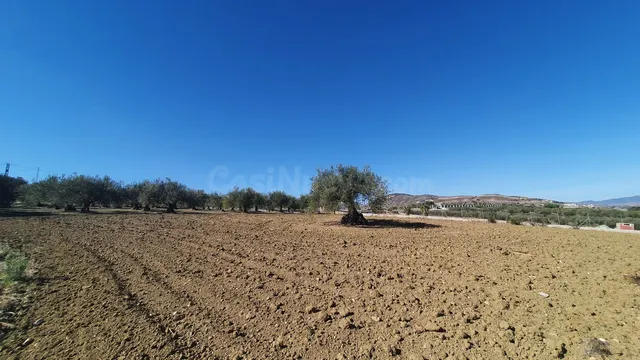 Parcela en venta - Costa del Sol - foto 3