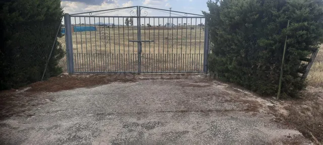 Parcela de 2.500 metros en Sierra de Fuentes - foto 5