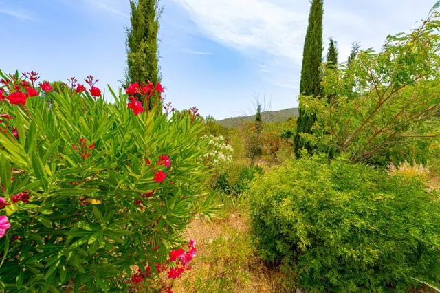 Villa rural en venta en Lliber — 40