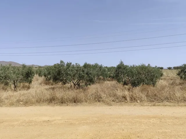 Finca rústica con vivienda y 21.000 m2 de terreno en el Camp - foto 2