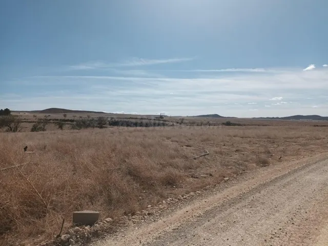 PARCELA EN LA PACA - foto 3