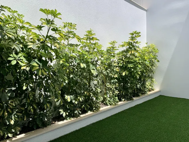 VILLAS PAREADAS DE OBRA NUEVA EN SAN JAVIER — 12