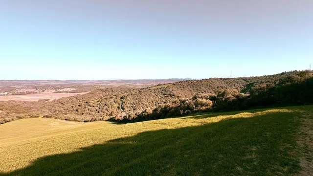finca rústica en la zona de patria, Vejer de la frontera — 3