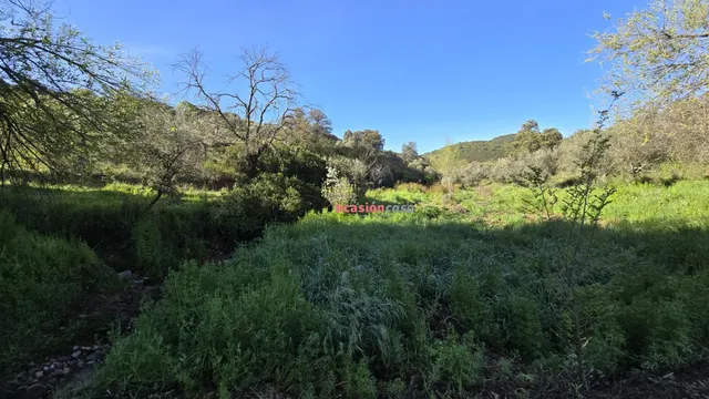 CHALET EN VENTA EN EL PUERTO CALATRAVEÑO — 26