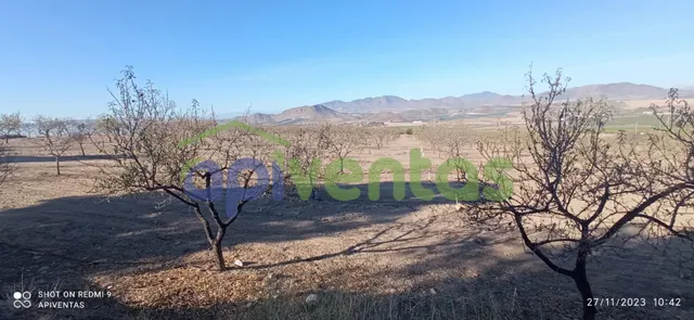 Terreno-parcela en Purias — 6