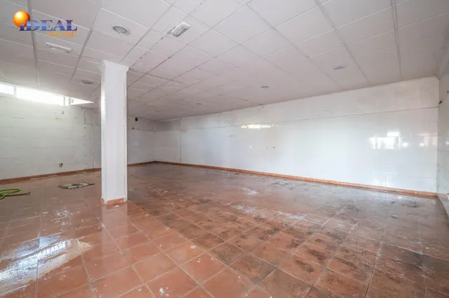 Amplio Local Comercial en Monachil - Oportunidad Única — 18